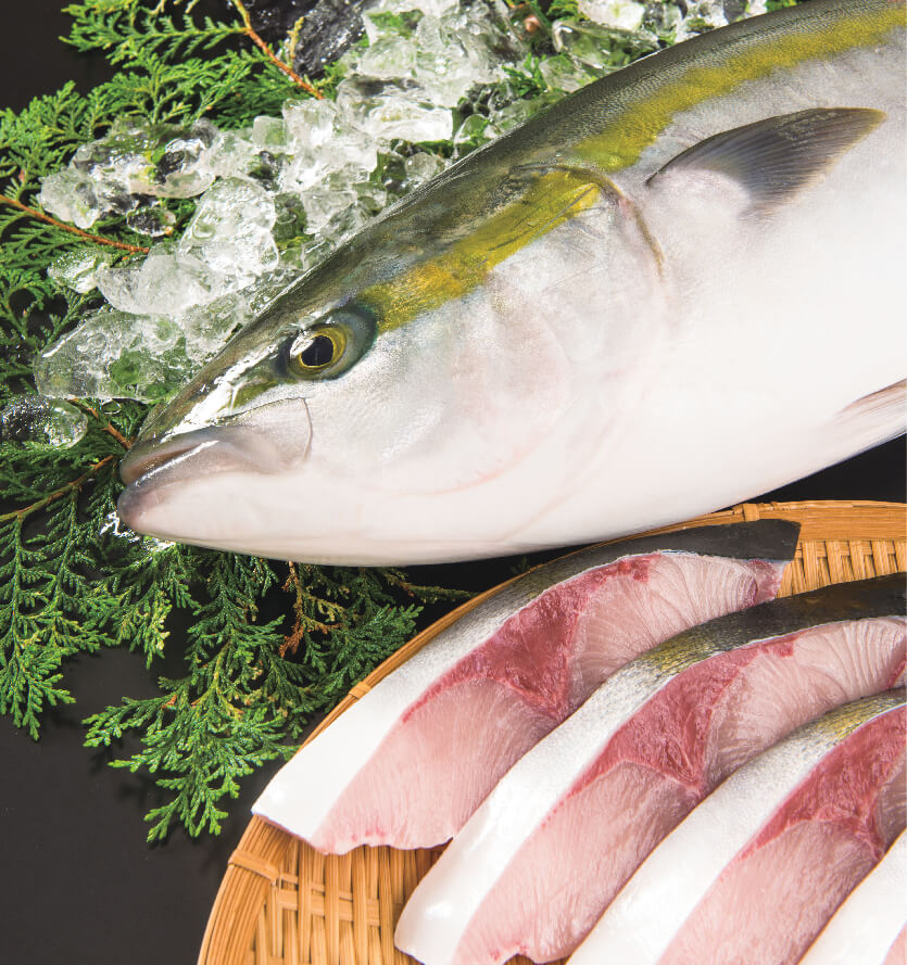 1月 特別食材 🐟ぶり🐟
